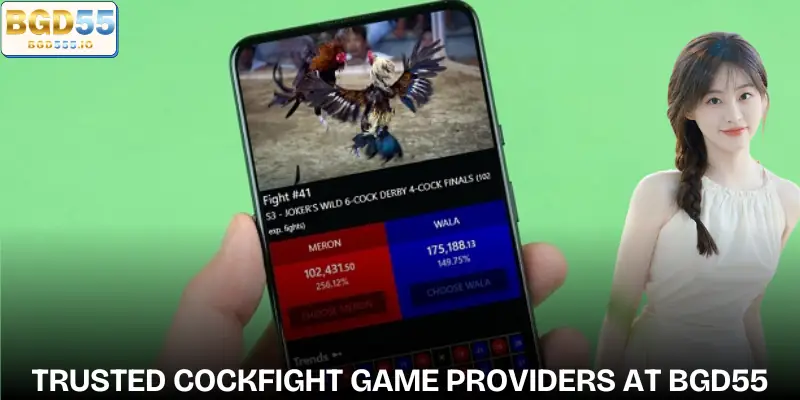 bgd55-cockfight-providers