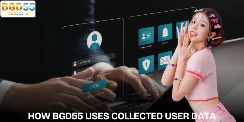 privacy-policy-at-bgd55-how-to-uses