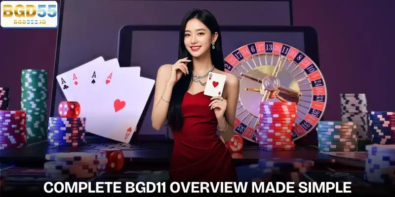 Discover the bgd11 platform overview quickly and conveniently today
